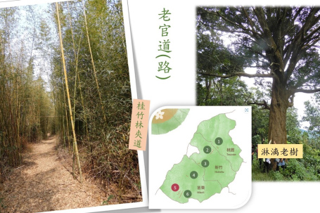 樟之細路(五)~2023.05.13薑麻園、老官道古道走讀