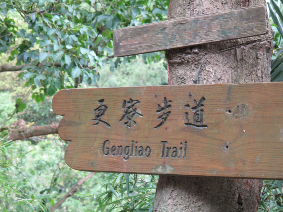大坑溪整治