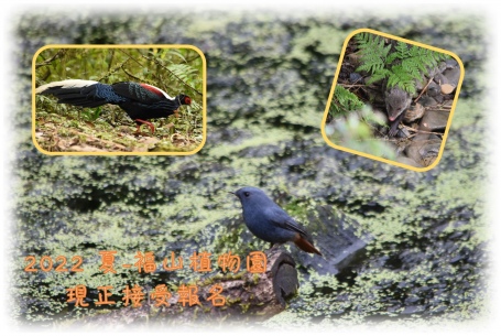 2022夏 · 福山植物園之旅