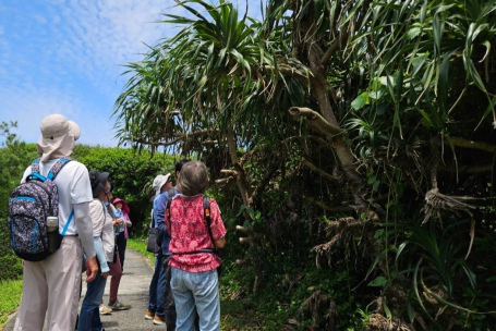 113-2 輕鬆認識養身、保健藥用植物