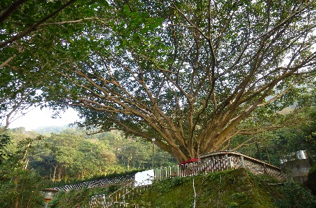 虎山步道