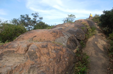 南港山