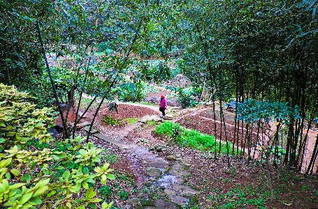 坑子村