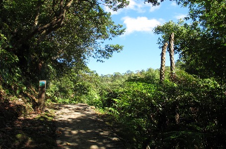 麗山橋口步道
