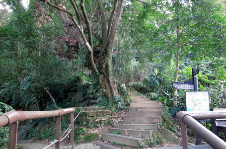 小獅山親山步道